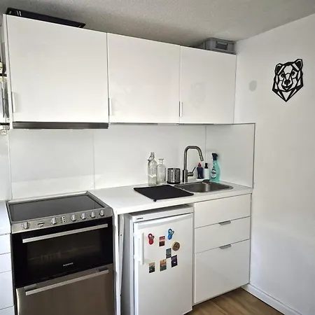 Duplex 4 Pers. à 50m Des Télécabines, Parking Privé - Fr-1-234-307 Appartement *