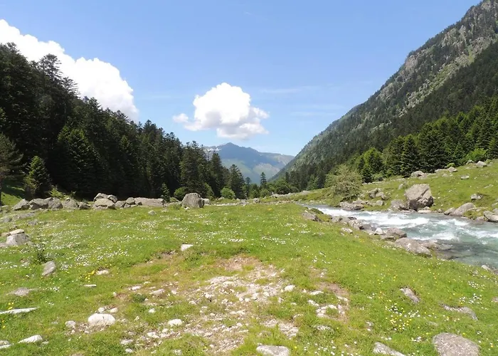 Duplex 4 Pers. A 50m Des Telecabines Avec Parking - Fr-1-234-307 Lejlighed Cauterets